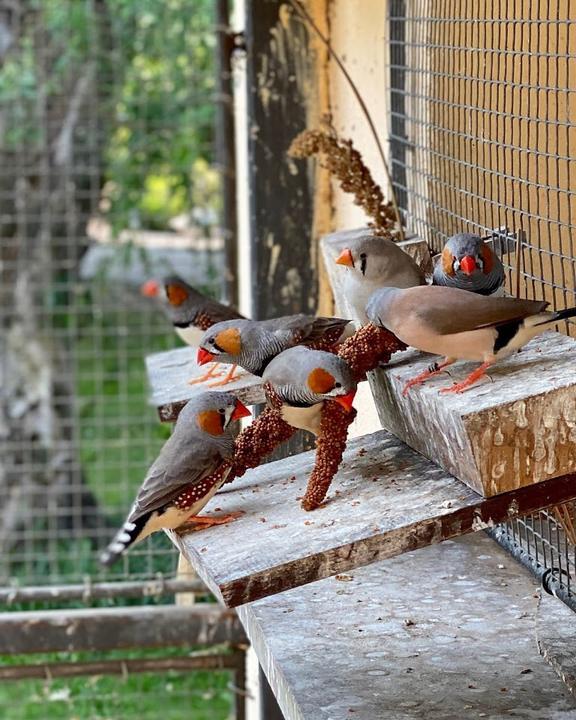 Vogelpark Oberhausen